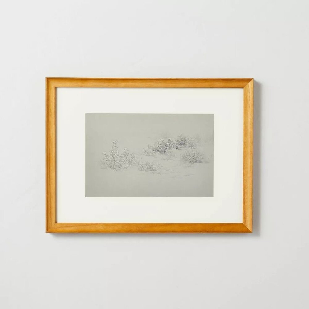 12x16 Desert Sketch Framed‎ Wall Art - Hearth & Hand Magnolia,  Target 2024